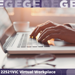 22521VIC Course in Gender Equity: Virtual Workplace